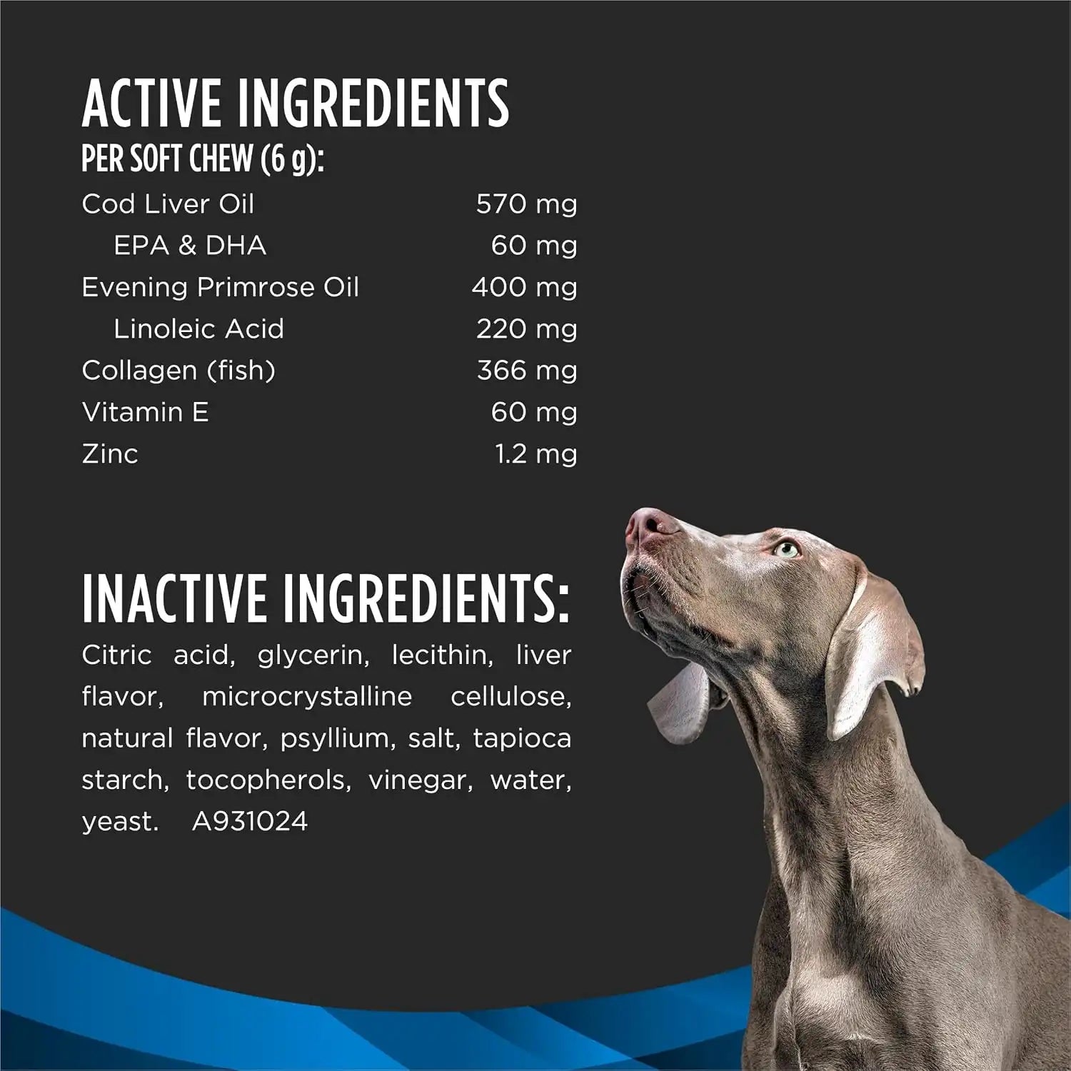 purinadogfood.it.com