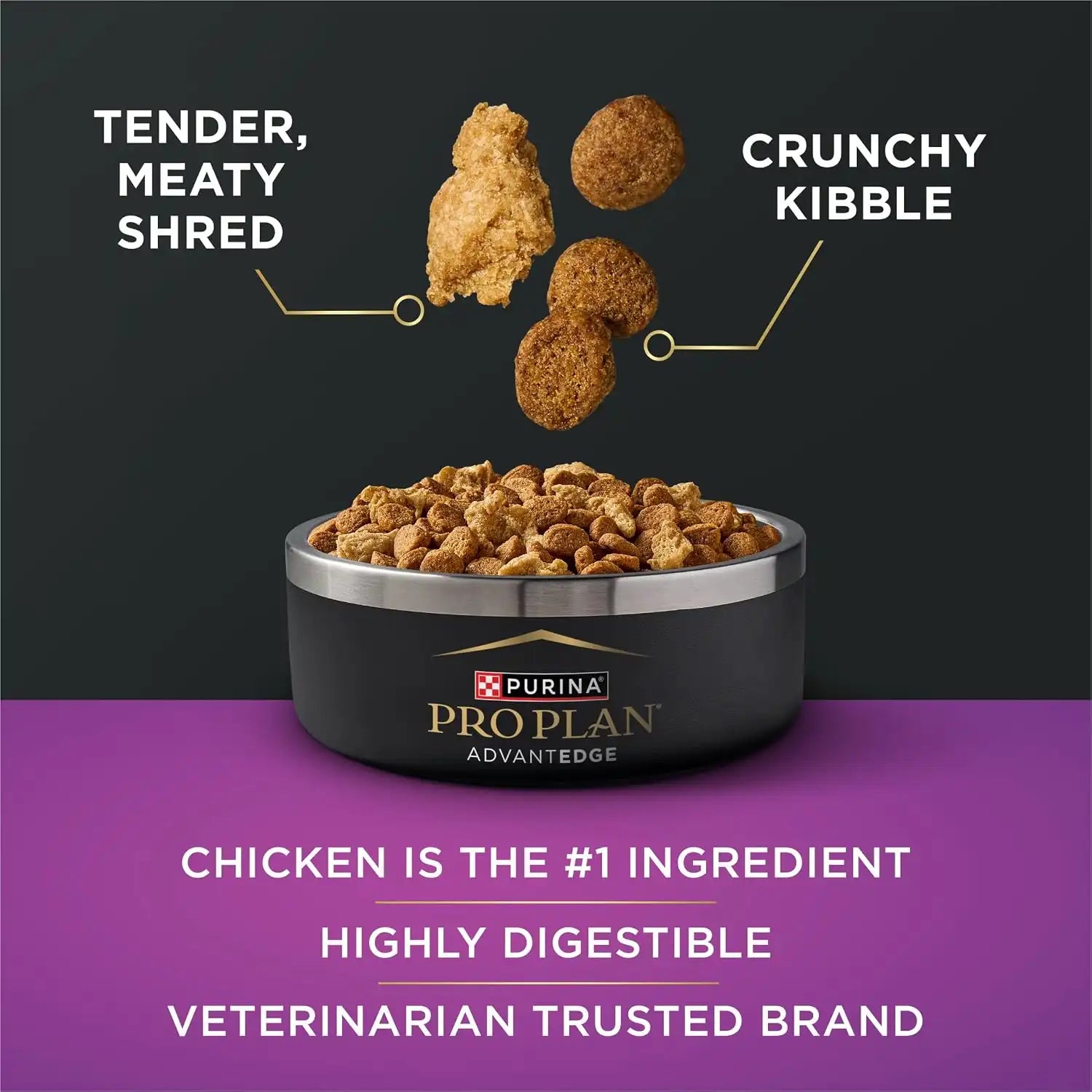 purinadogfood.it.com