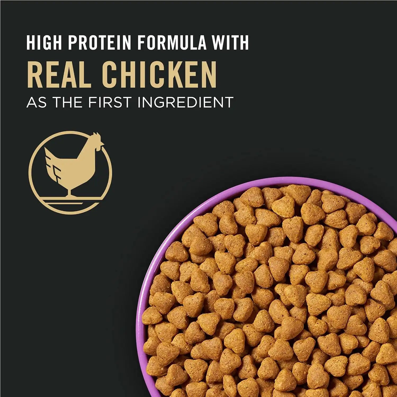 purinadogfood.it.com