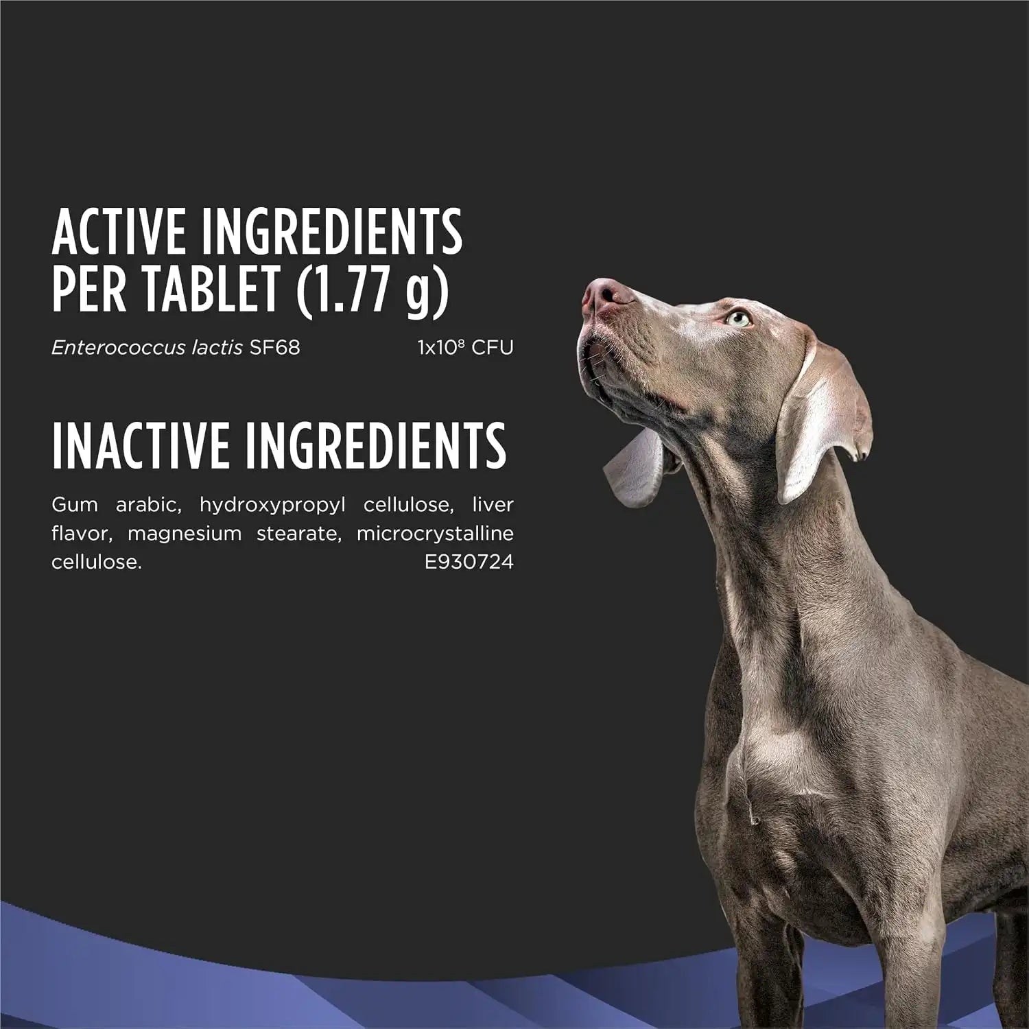 purinadogfood.it.com