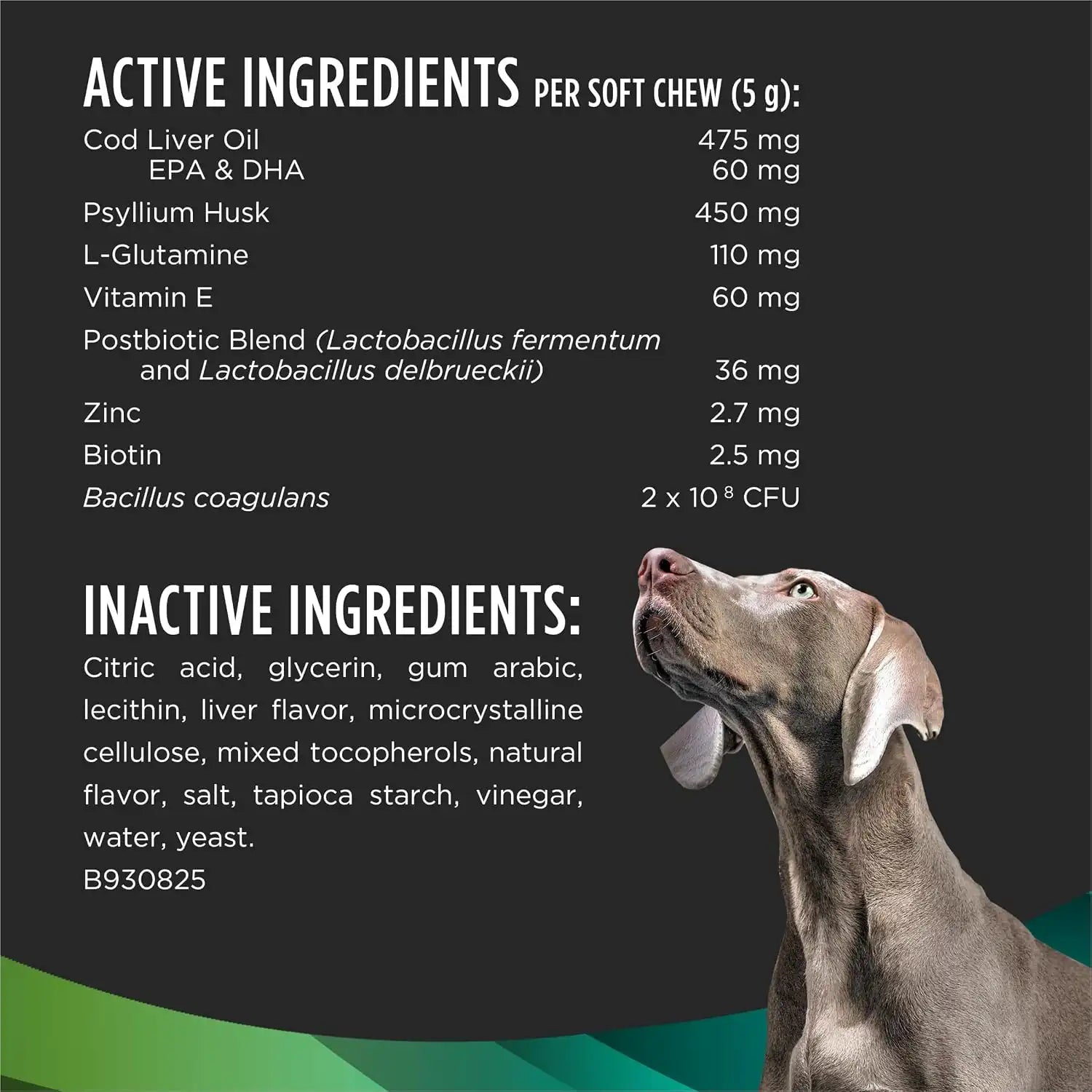 purinadogfood.it.com