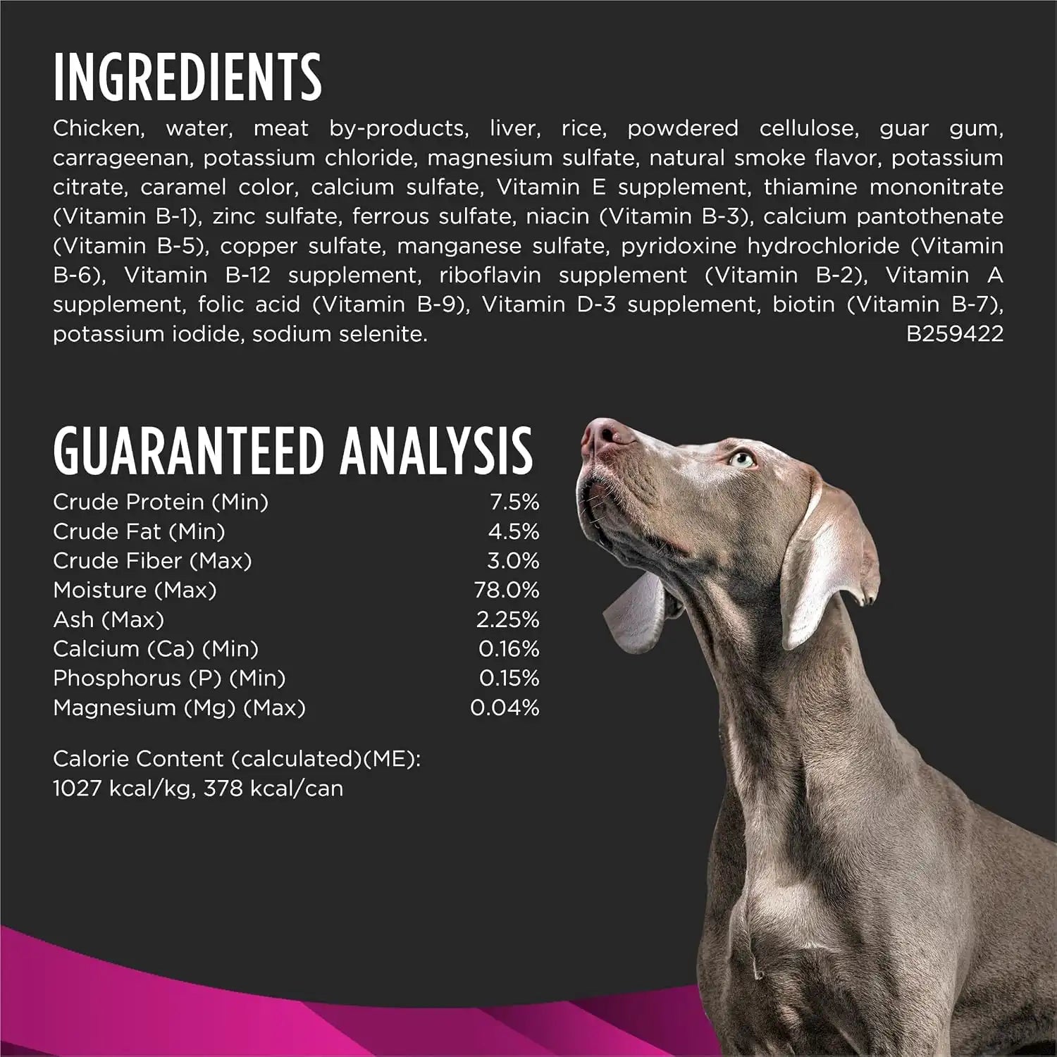 purinadogfood.it.com