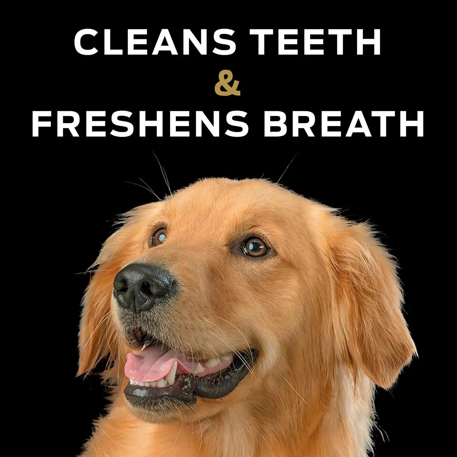purinadogfood.it.com