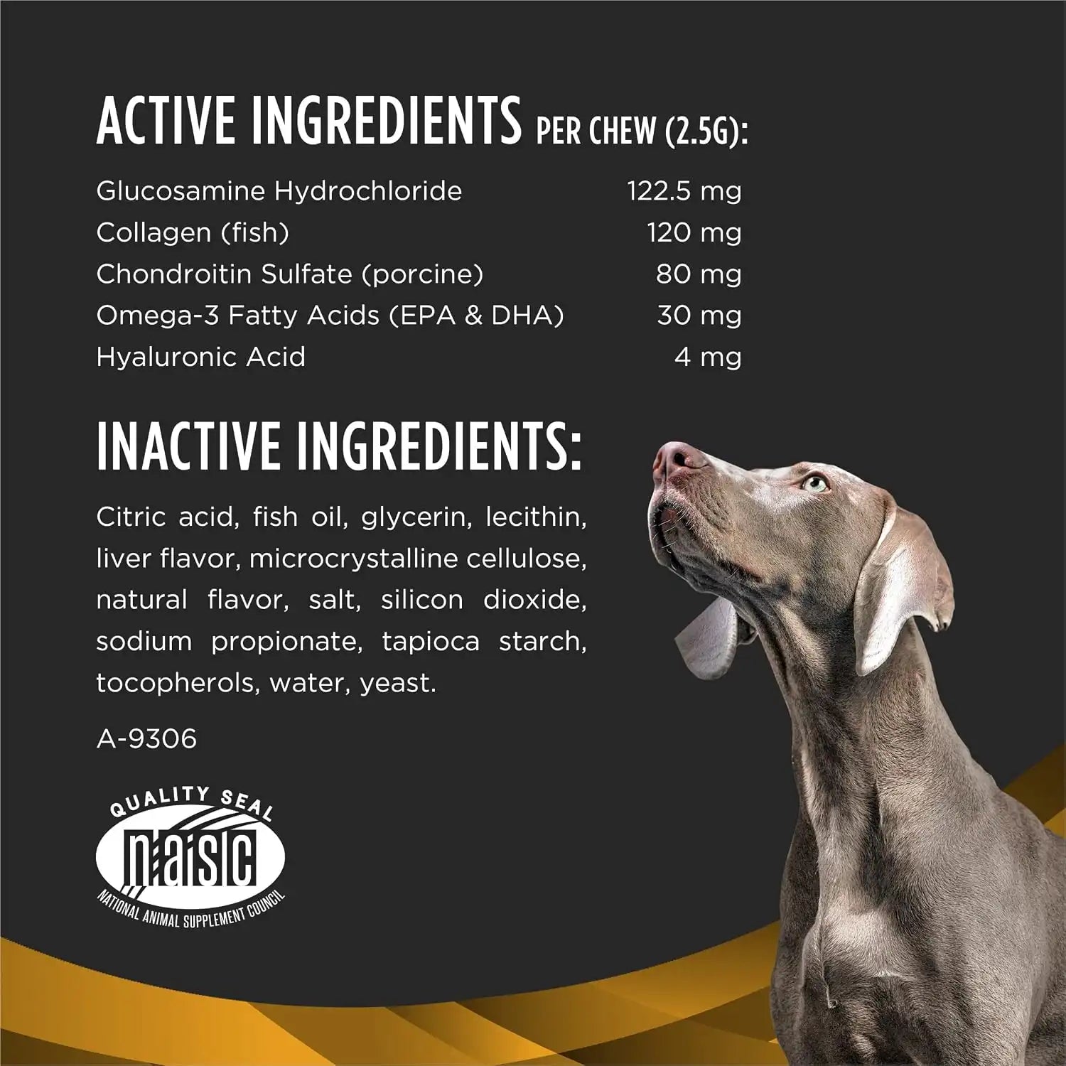 purinadogfood.it.com