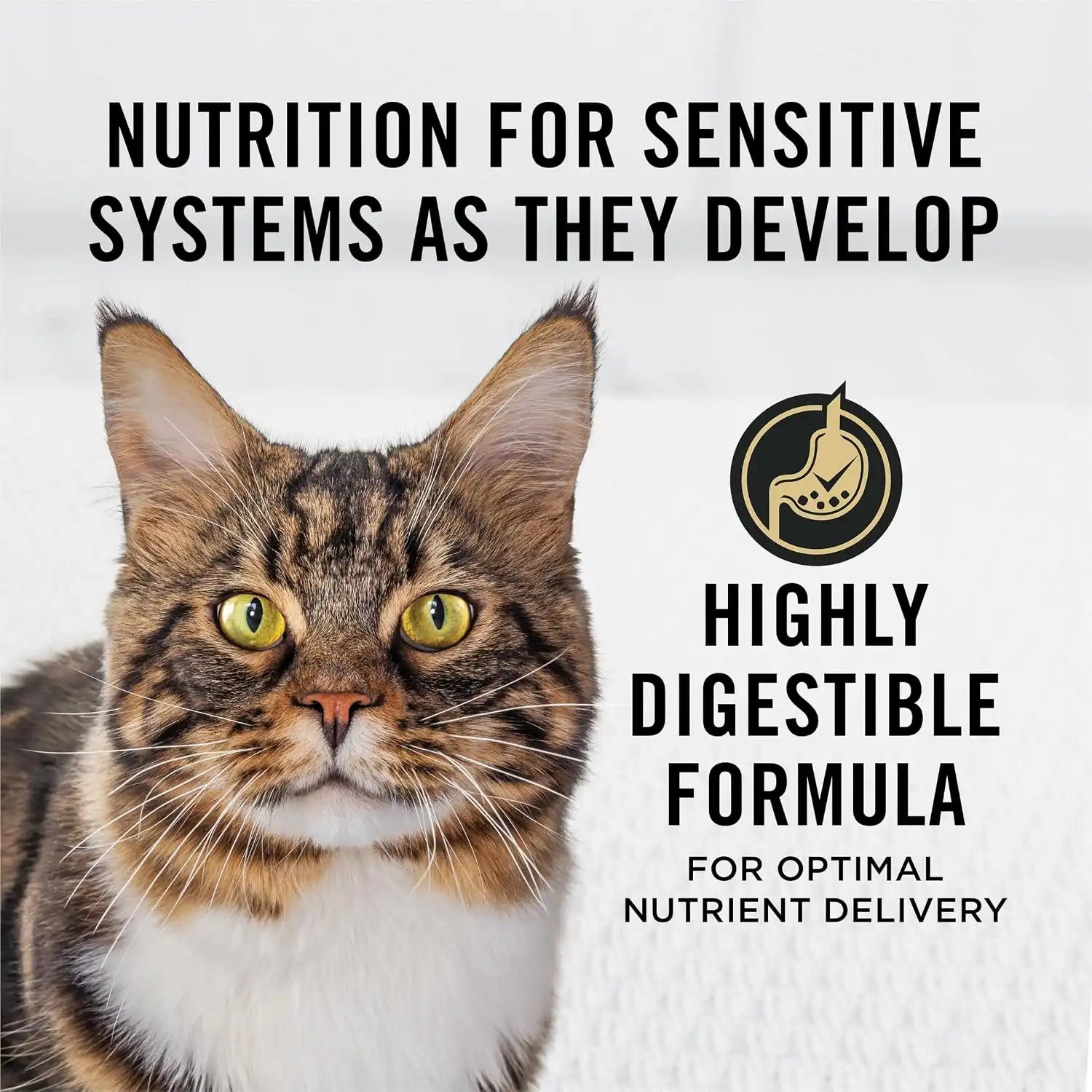 purinadogfood.it.com