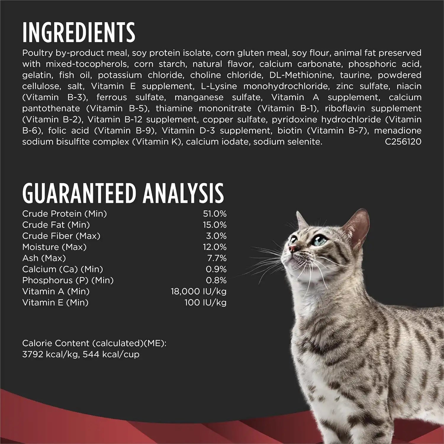 purinadogfood.it.com