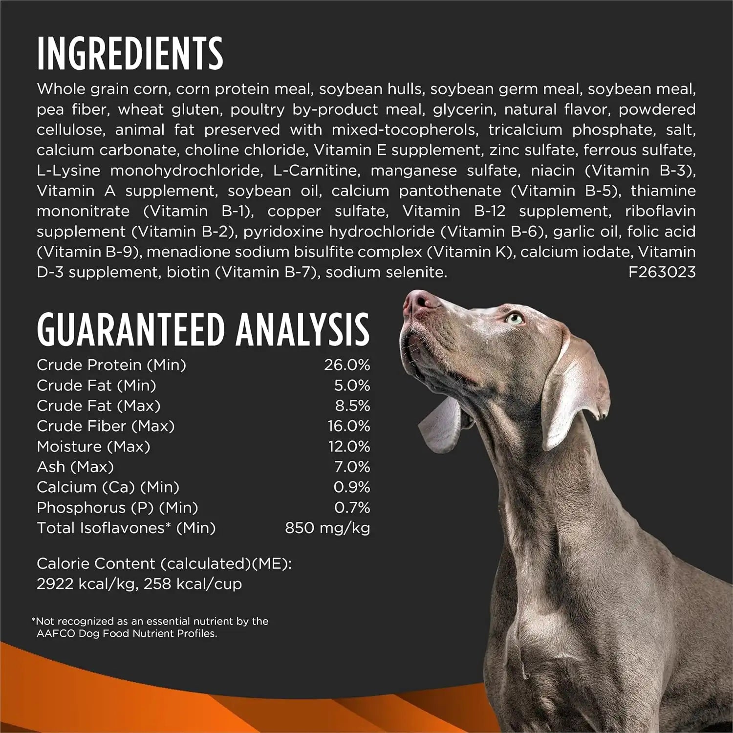 purinadogfood.it.com