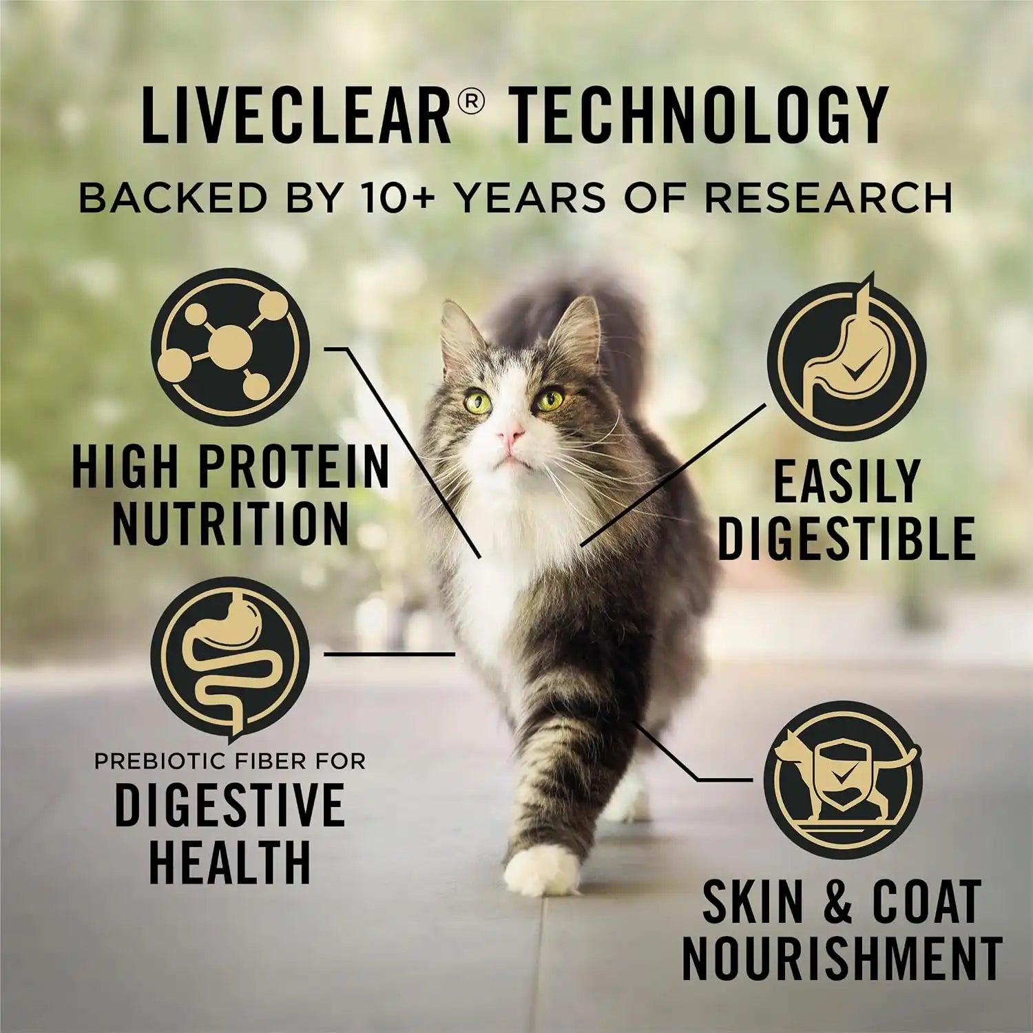 purinadogfood.it.com