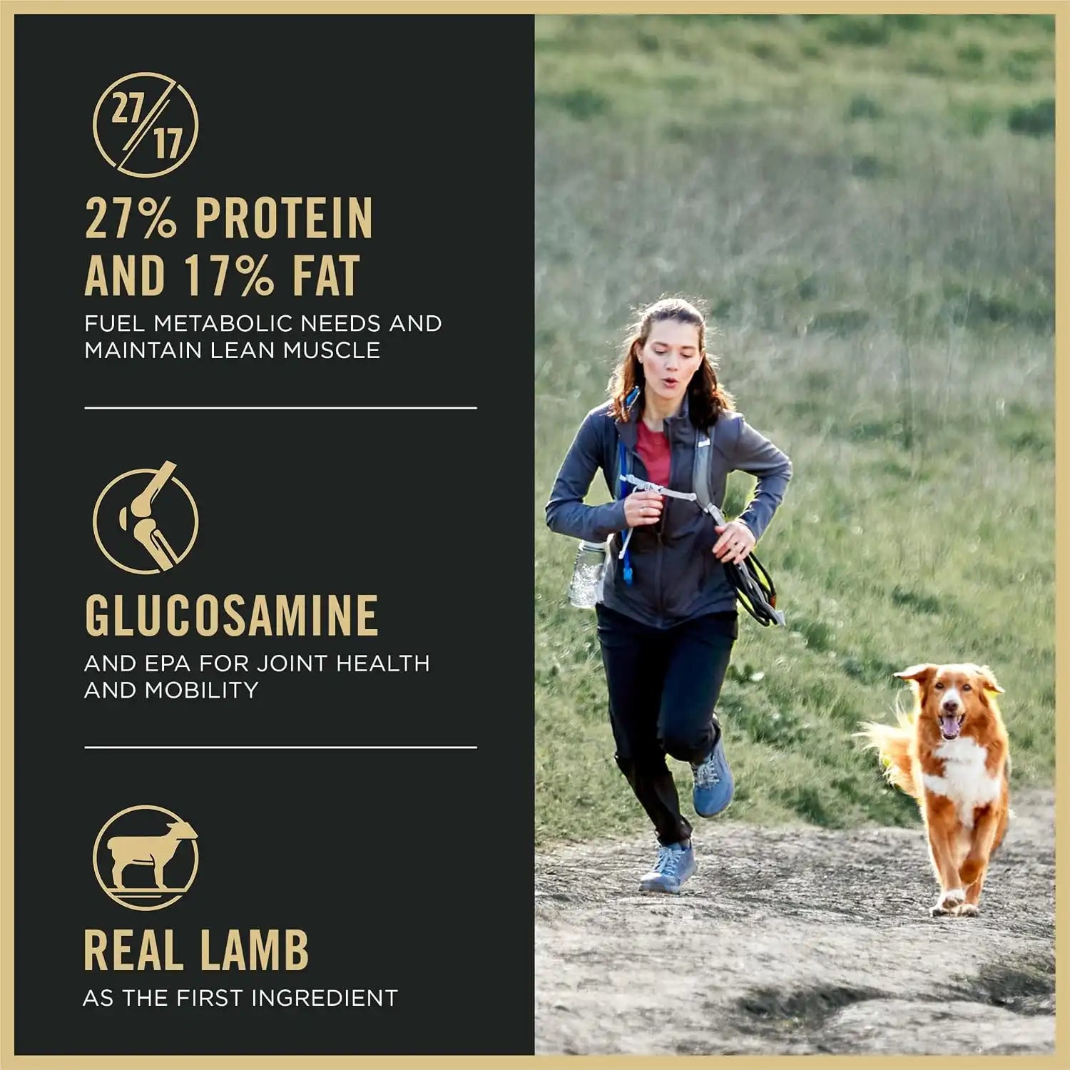 purinadogfood.it.com