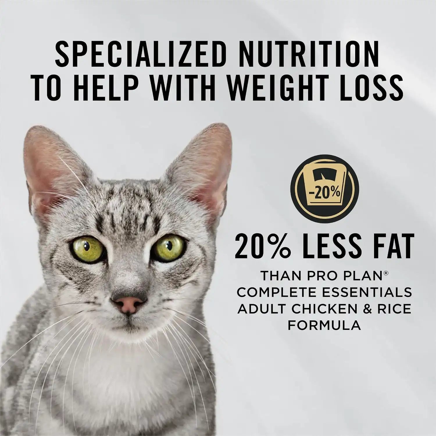 purinadogfood.it.com