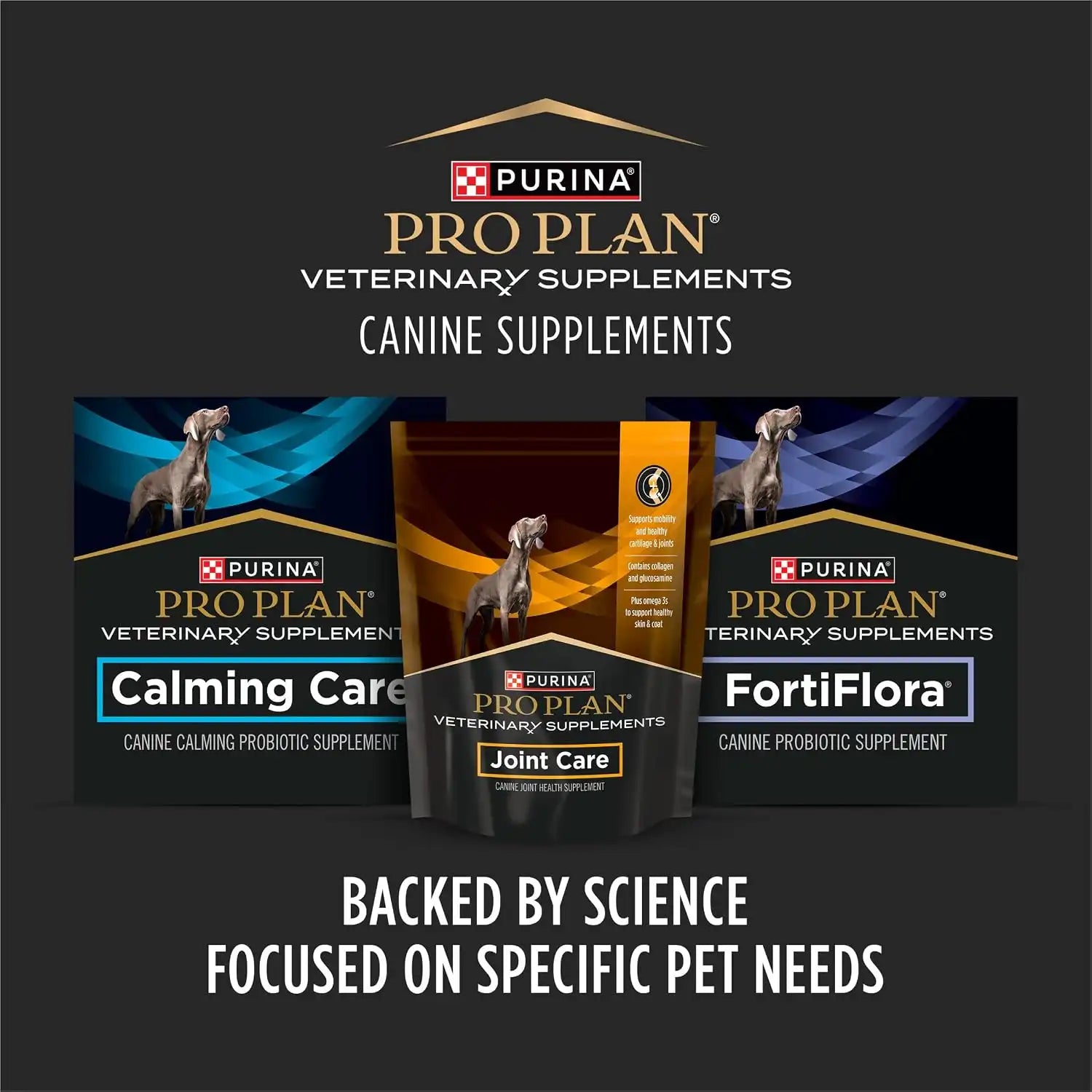purinadogfood.it.com