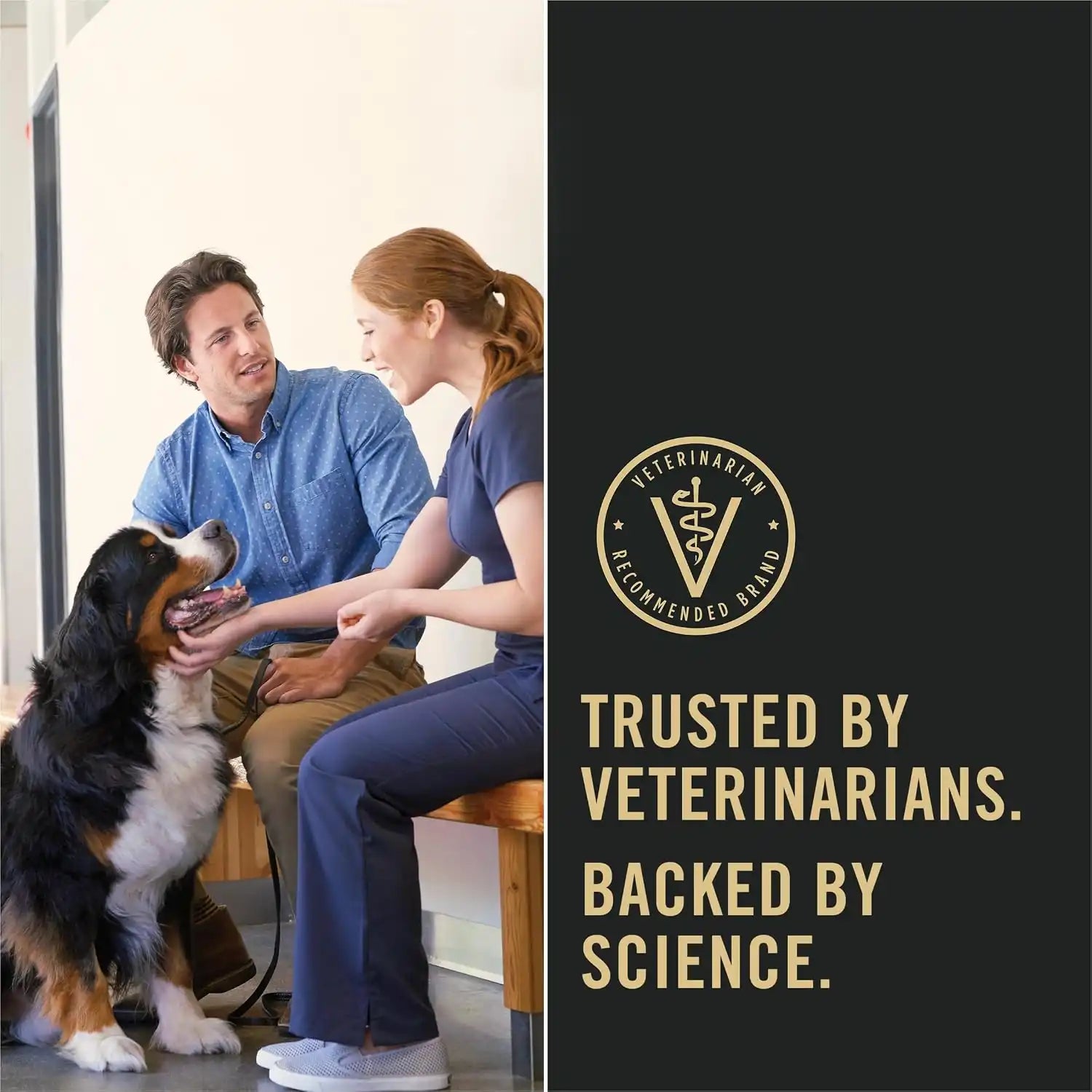 purinadogfood.it.com