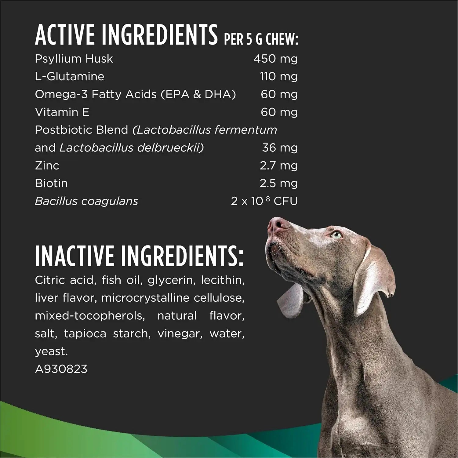 purinadogfood.it.com
