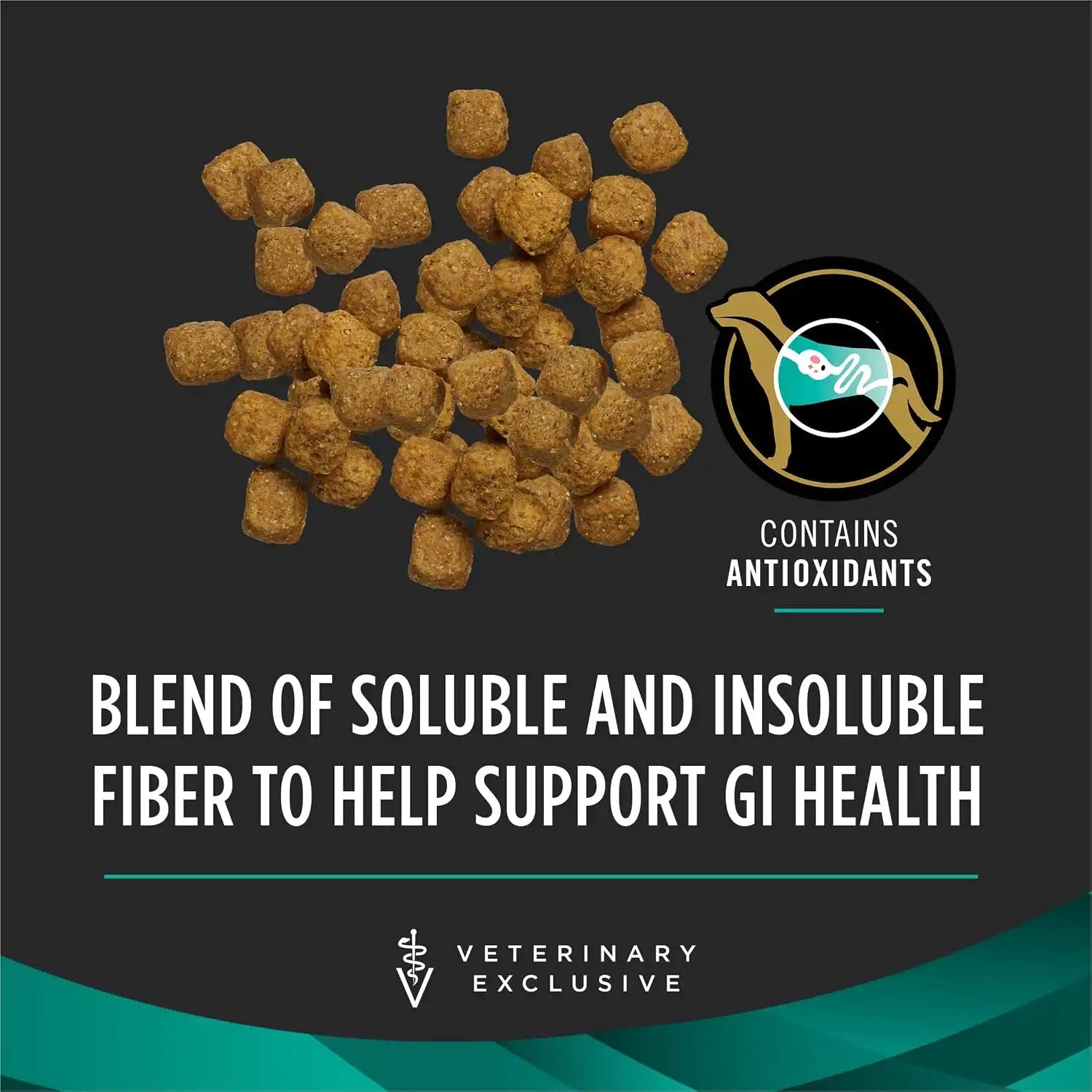 purinadogfood.it.com