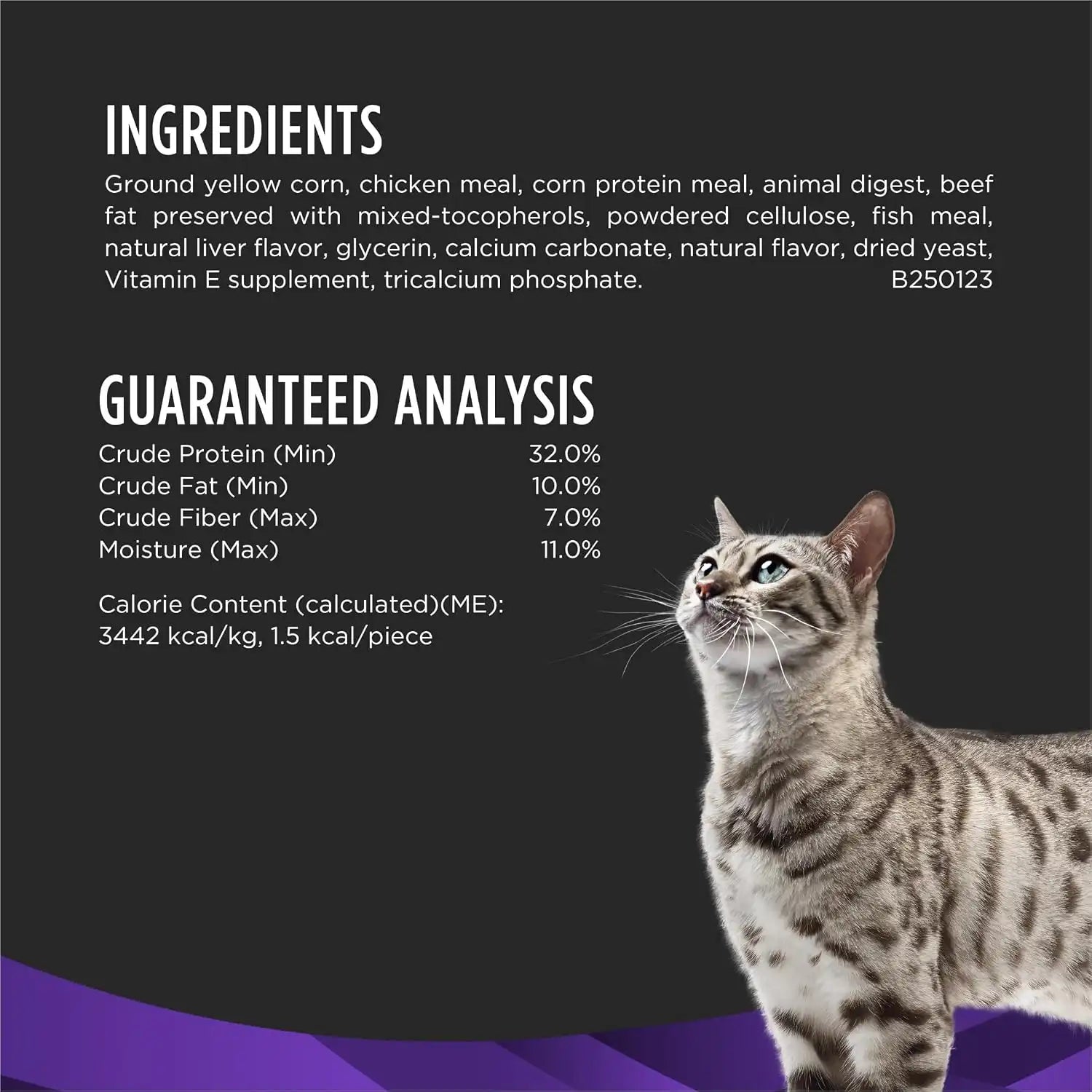 purinadogfood.it.com