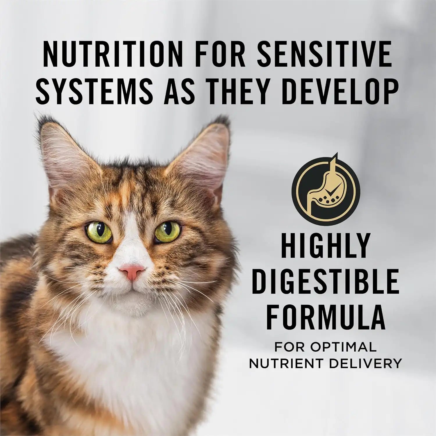 purinadogfood.it.com