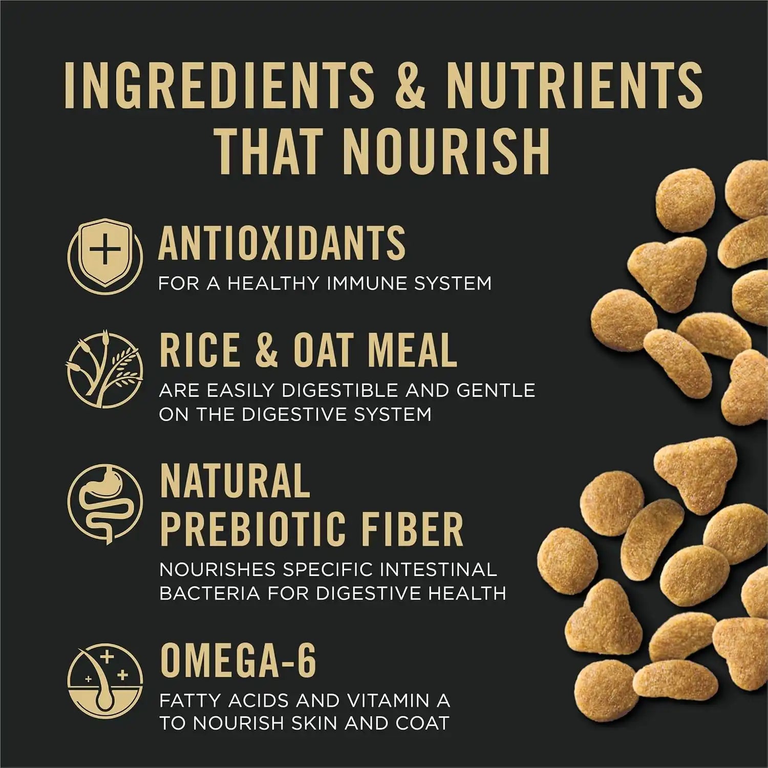 purinadogfood.it.com