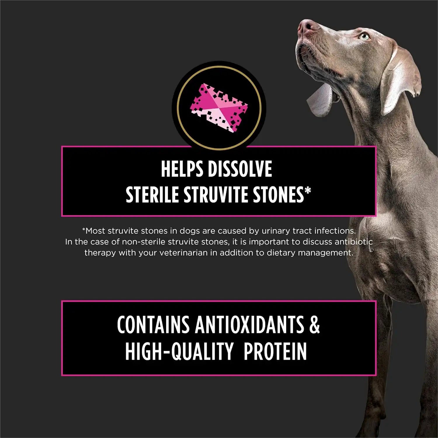 purinadogfood.it.com