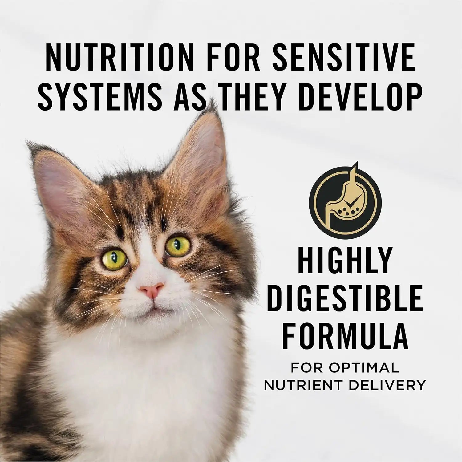 purinadogfood.it.com