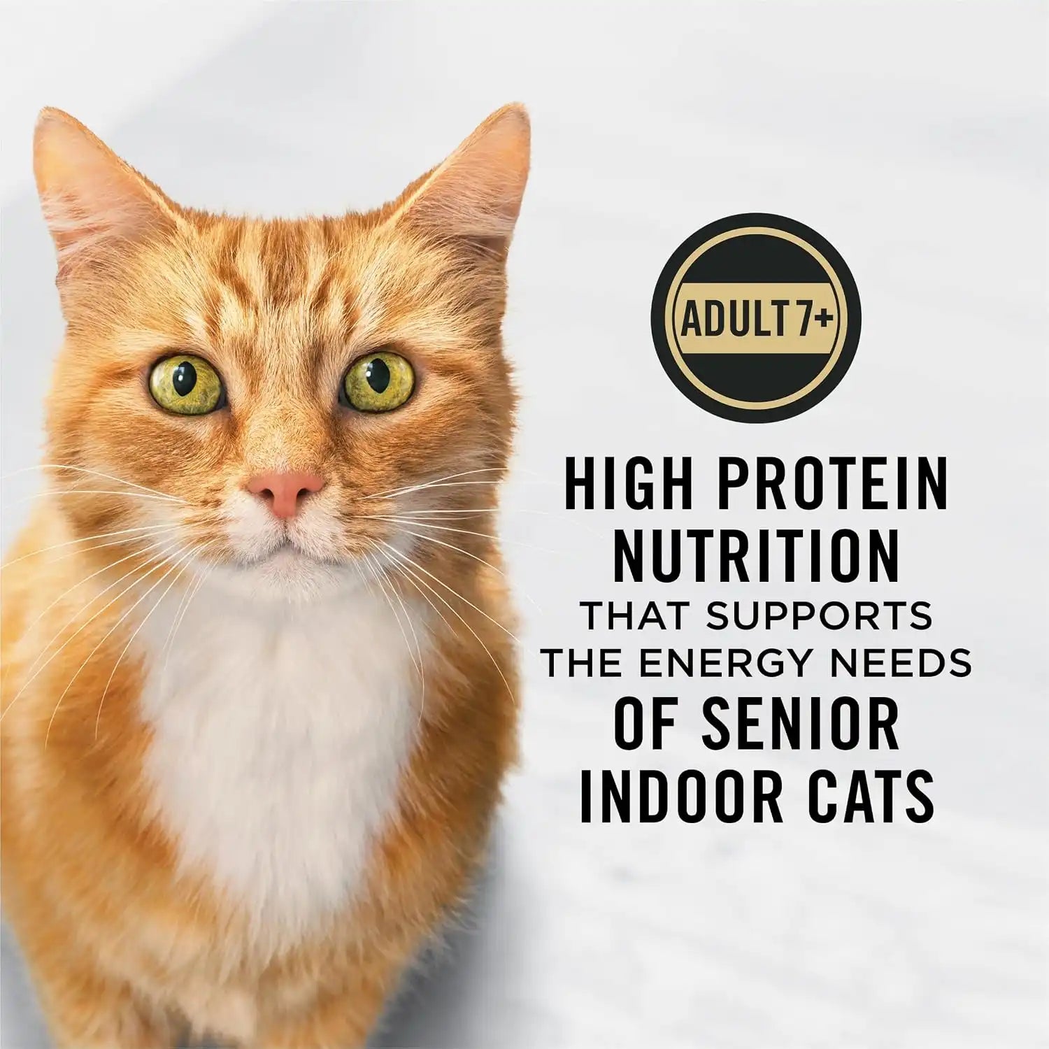 purinadogfood.it.com
