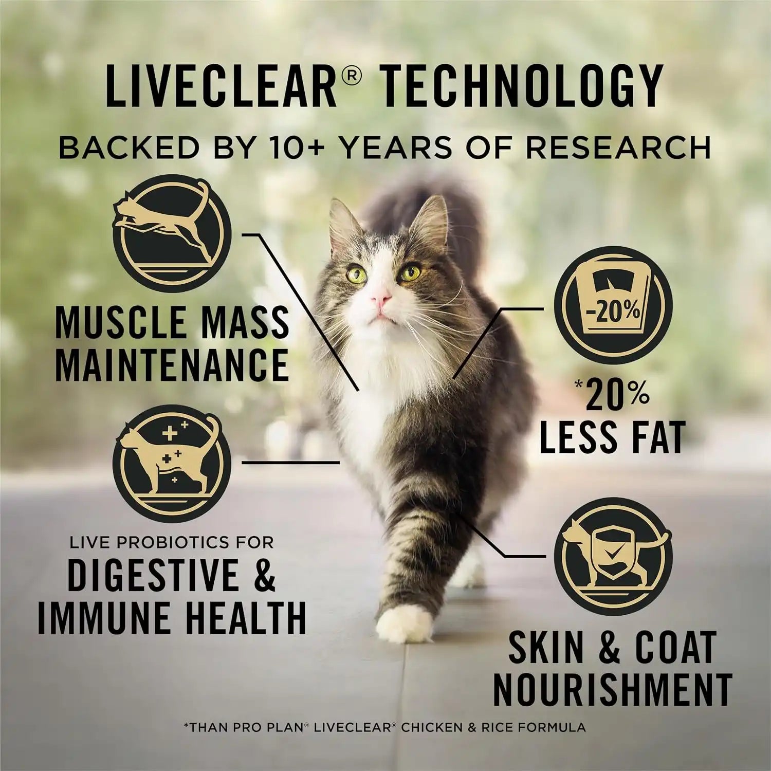 purinadogfood.it.com