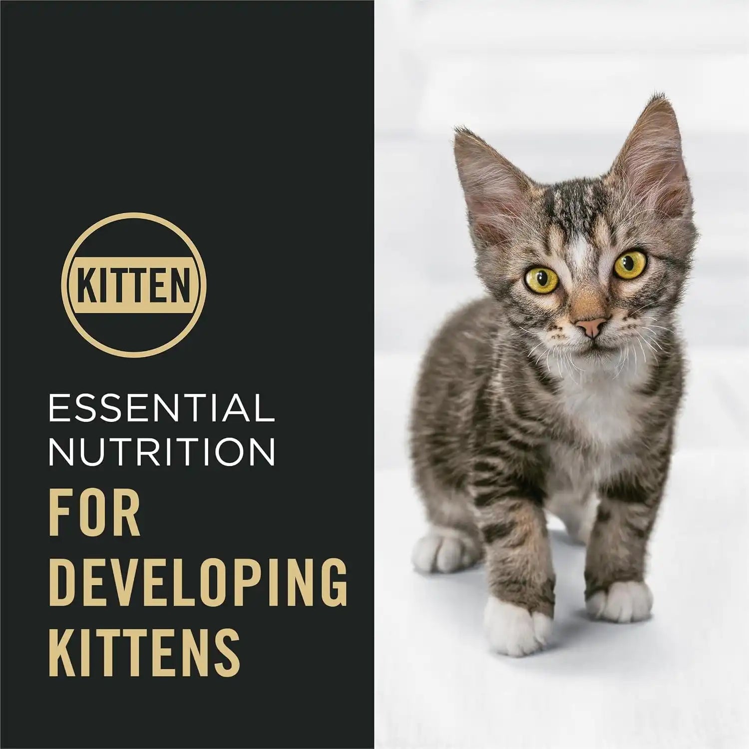 purinadogfood.it.com