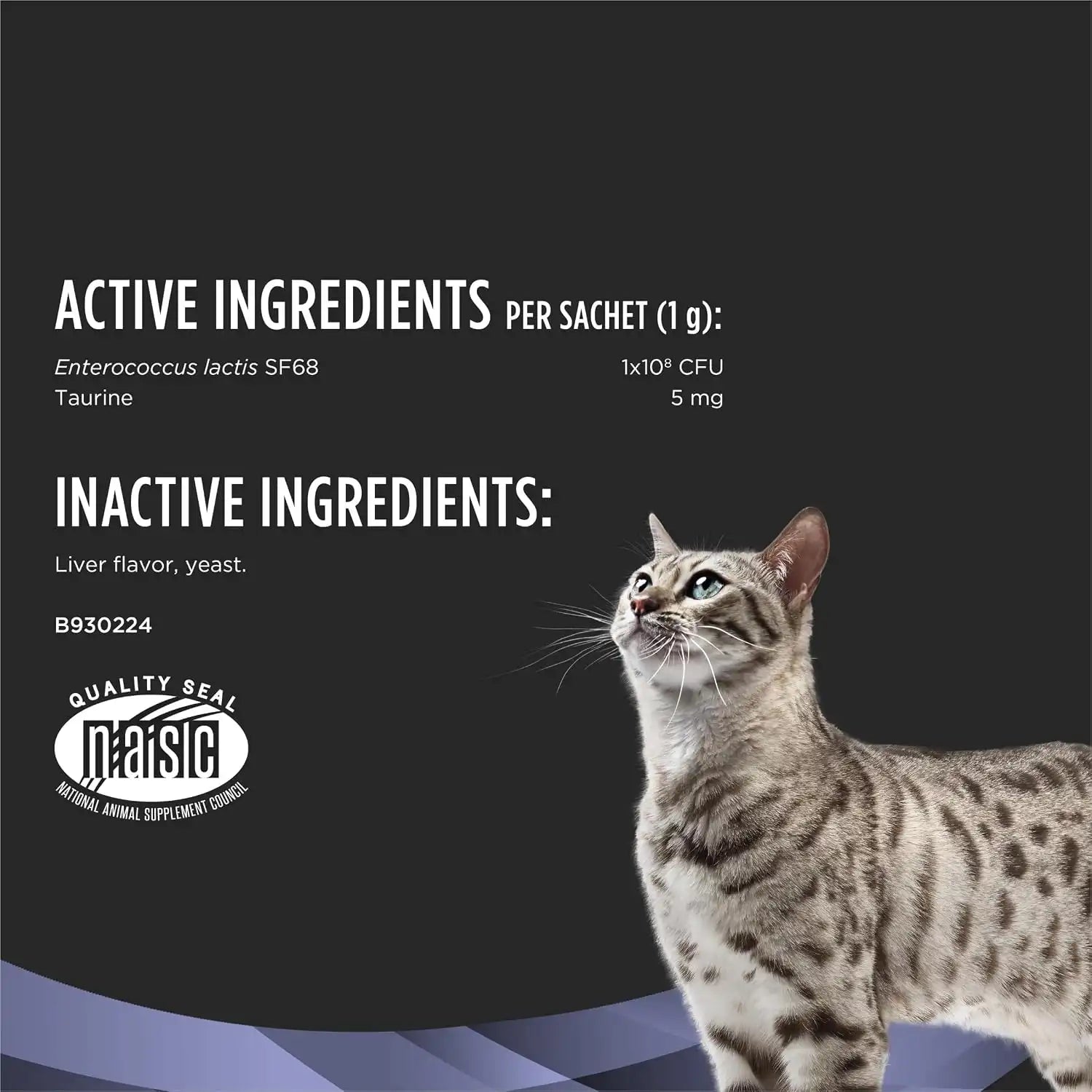 purinadogfood.it.com