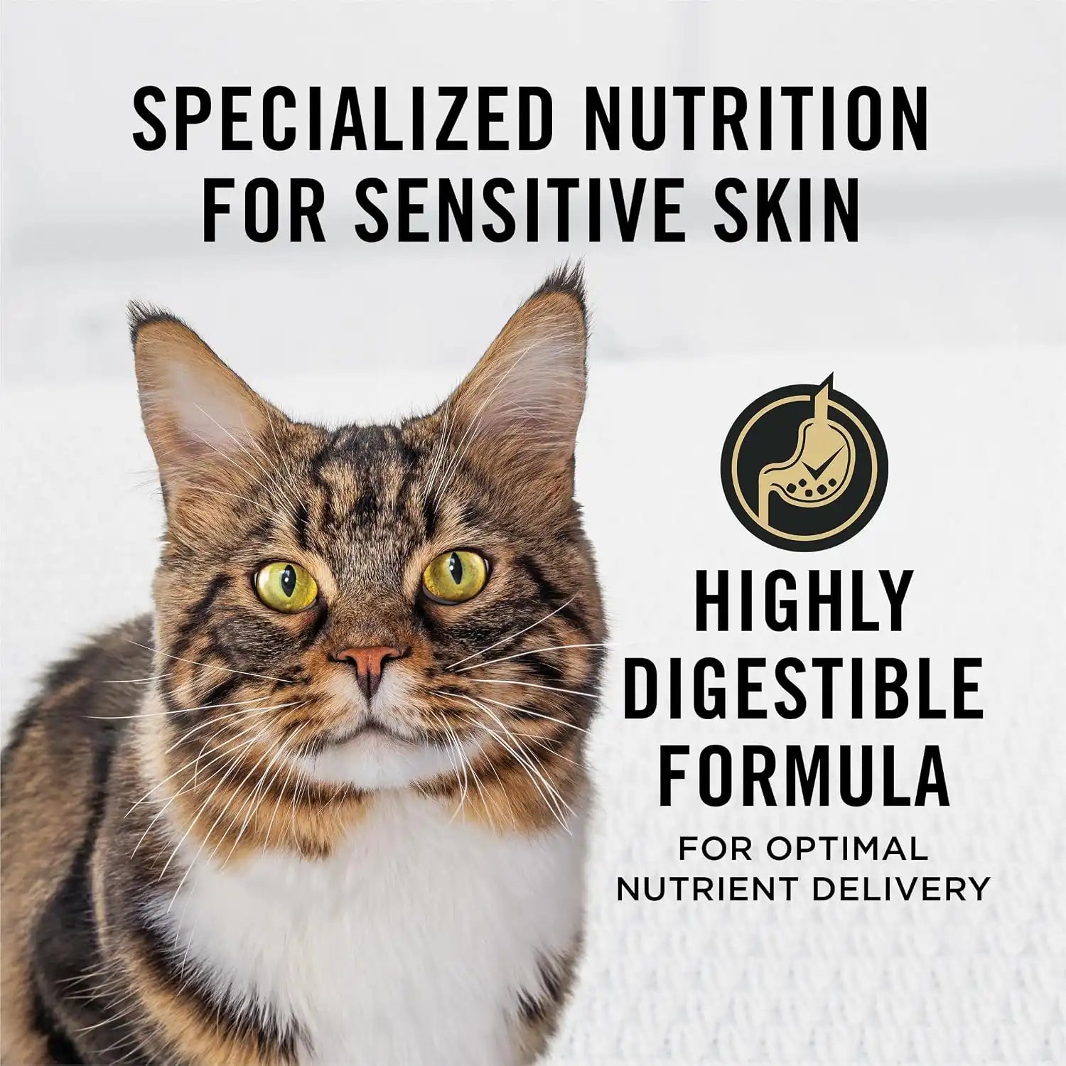 purinadogfood.it.com